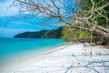 Fototapeta na wymiar Beautiful tropical island white sand beach - Koh Lipe, Thailand. Travel summer holiday concept.