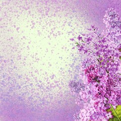 Obraz premium lilac flowers background. Purple watercolour effect. Holiday card.
