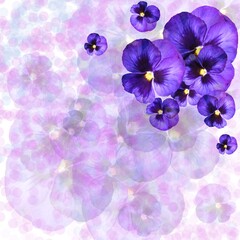 Fototapeta na wymiar Violets lilac purple background frame decor and design element.