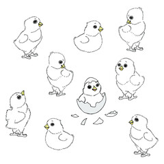 Chickens sketch vector illustration. White chicks cute cartoon isolated design elements with outline. Chicken meat production, bird breeding, Easter chickens. Poultry farm, animal husbandry