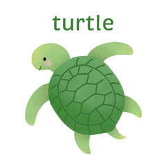 英単語カード・かめ