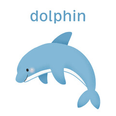 英単語カード・イルカ