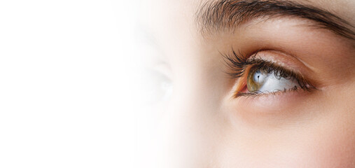 Close up, profle photo o a female eye, iris, pupil, eye lashes, eye lids.