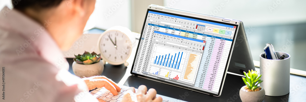 Poster electronic spreadsheet analyst or auditor using software