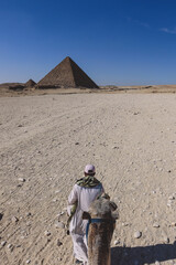 Amazing View to the One of the Wonders of the Ancient World - Great Pyramids of Giza with Camels...