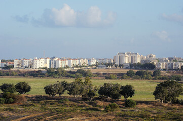 Obraz premium Trees, bushes, grass and cacti on waste ground near the town in Israel
