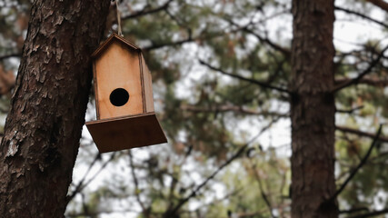 birdhouse standing on pine tree against view