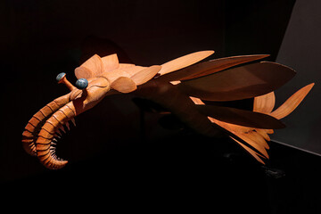 Anomalocaris ​one of the earliest apex predator during the Cambrian Explosion 530 million years ago