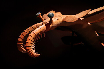 Anomalocaris ​one of the earliest apex predator during the Cambrian Explosion 530 million years...
