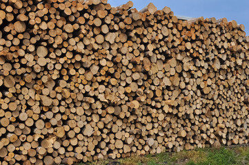 heap of wooden logs background