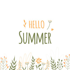 Hello, summer, lettering. Banner, summer flowers and plants, leaves. minimalistic white background. Flower illustration. Green and yellow flowers, leaves.