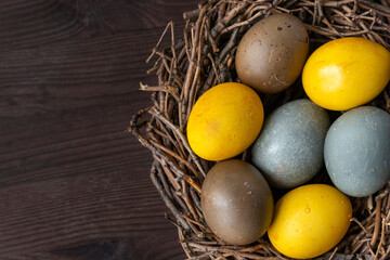 Colored Easter eggs in birds nest on wooden table. Top view. Copy space.