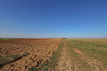 Fototapeta na wymiar Field road next to plowed field in spring