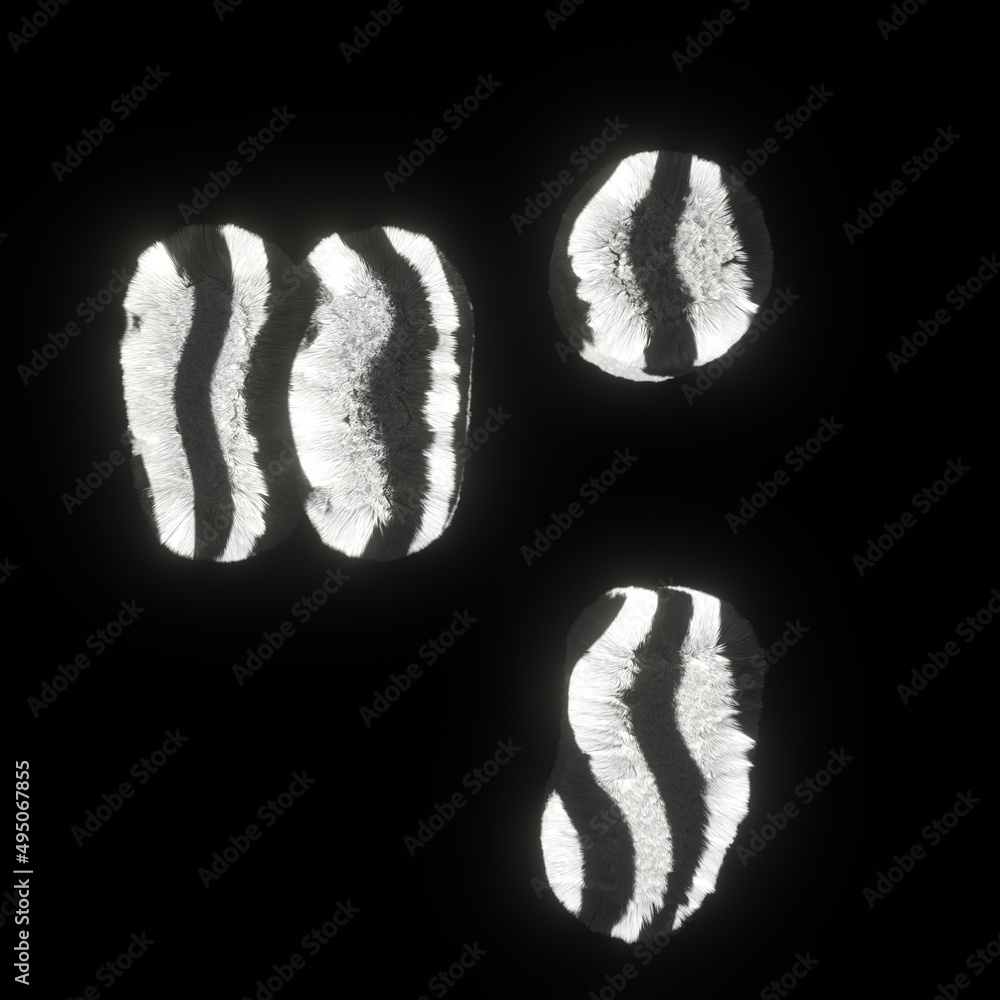 Poster fluffy zebra font quotation mark and comma and period
