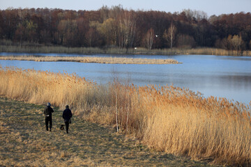 Para młodych ludzi z psem na spacerze brzegiem jeziora, łabędzie w locie.
