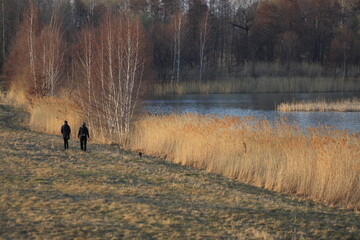 Para młodych ludzi z psem na spacerze brzegiem jeziora.