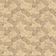 Decorative pattern of peanuts on a craft background, contour illustrations