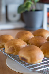 Homemade white flour round buns