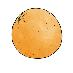 Simple doodle, orange orange illustration on white background, isolated element