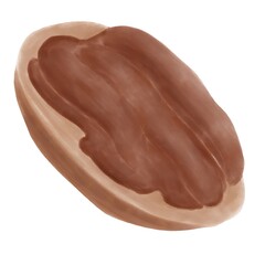 Walnut, pecan, watercolor illustrations on white background, isolated design