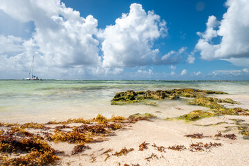 Fototapeta premium Paradise beach Akumal on the Caribbean coast of the Gulf of Mexico. White sand and azure clear water. Mexico, Riviera Maya