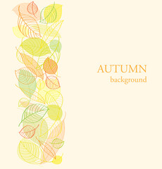 Vector background with border of autumn leaves
