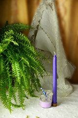 colección belas, beautiful collection