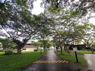 walking under canopy