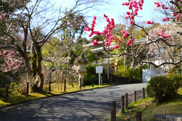 成田公園