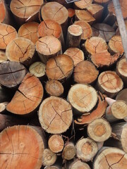 Fototapeta premium stack of firewood