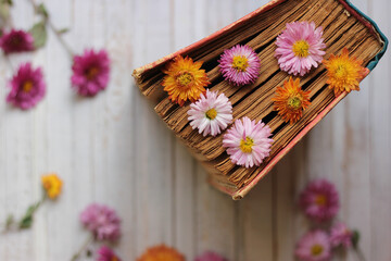 Vintage book with bouquet of meadow flowers, nostalgic vintage background.