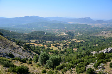 view from the top of mountain on the valley with pine trees and mountain range on background