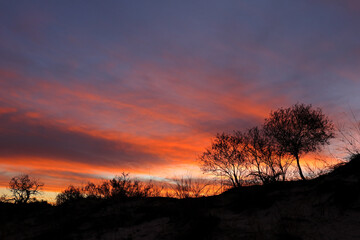 Sunset with silhouetted African thorn trees and clouds, Kalahari desert, South Africa.