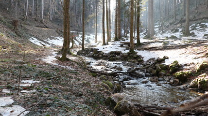 Waldweg vorbei an Flüssen der zu einem See mit Bergen führt