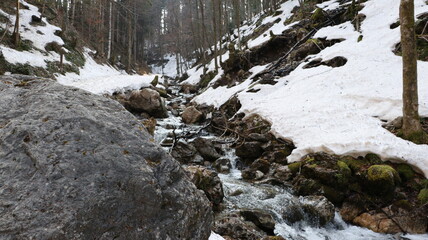 Waldweg vorbei an Flüssen der zu einem See mit Bergen führt