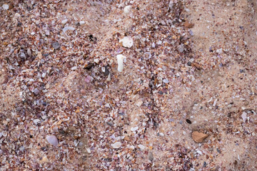 Sand and pebbles , Strolling on the beach on summer holidays