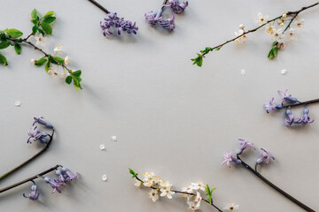 Spring festive background. Frame of hyacinth flowers and cherry blossom on gray backdrop. Top view, flat lay, copy space