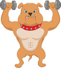muscle bulldog with dumbbells cartoon