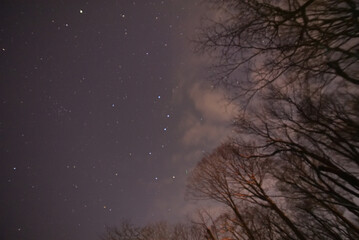 神秘の湖支笏湖
