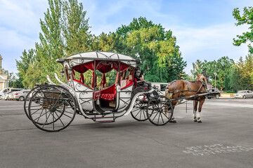 Fototapeta premium Mykolaiv, Ukraine - July 25, 2020: Harness of a brown horse and an old decorative carriage on a city street in Mykolaiv. Horse rides for tourists in the Ukrainian town