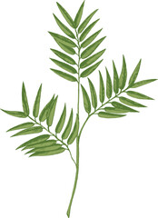 Tropical Branch with Leaves Hand Drawn Illustration © Good Studio