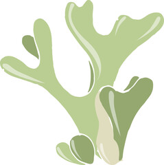 Sea Weed or Algae Hand Drawn Colored Illustration © Good Studio