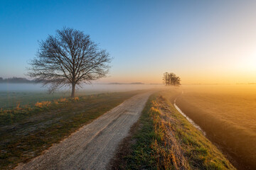 It's early in the morning and the sun is just rising. The morning mist hangs over the fields in the...