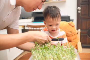 Parent homeschooling with little kid, Asian father and son growing bean sprouts, Dad and son having...