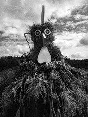 hay figure puppet chicken cock creepy bird folklore doll character village cottage black and white festival dramatic demon sky clouds beak hen