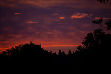Red-pink clouds. Clouds at sunset.