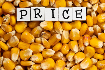 The wording  "Price" composed on the background of bulk corn grain. High price of cereals. Scene lit by uniform, soft light.