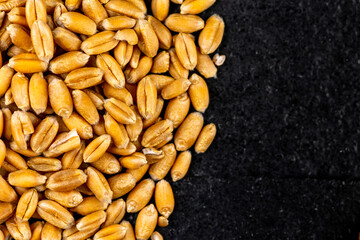 Top view of wheat grain scattered on black, stone surface. Scene lit with artificial, soft light.