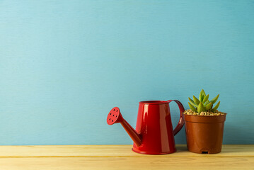 Red watering can and succulent plant in pot on table over blue wooden background copy space. Creative design with nature, lifestyle concept. © pla2na