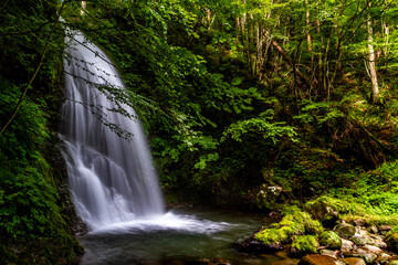 Obraz premium イノシシ滝 飛騨高山かくれはキャンプ場 初秋９月 